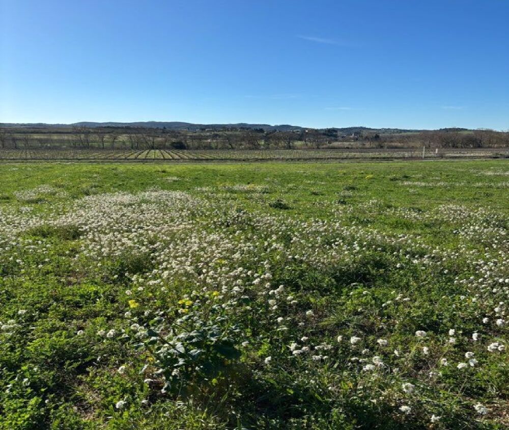 vente Terrain - 393 m² Leuc (11250)