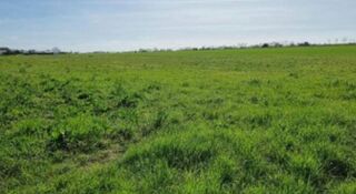  Terrain � vendre 302 m�