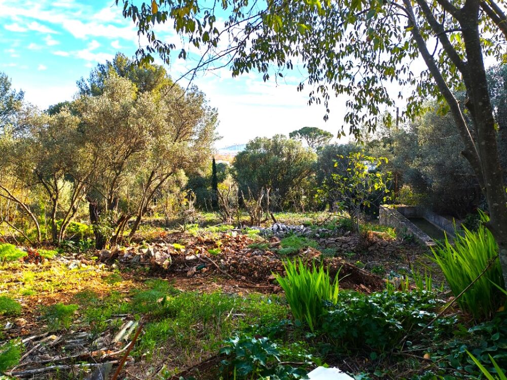 vente Terrain - 442 m² Toulon (83200)