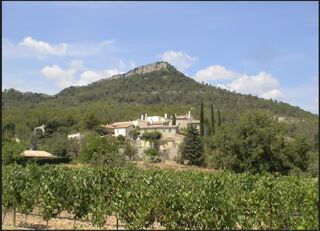  Terrain � vendre 800 m�