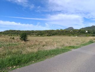  Terrain 300 m� Saint-mathieu-de-tr�viers