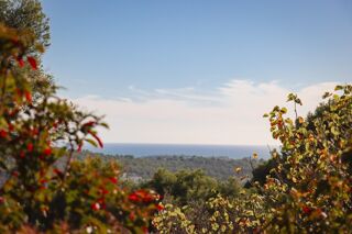  Terrain � vendre 1000 m�