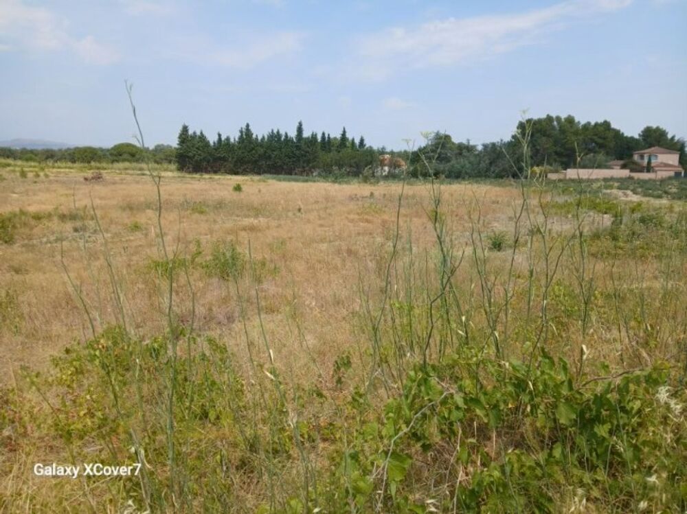 vente Terrain - 263 m² Villemolaque (66300)