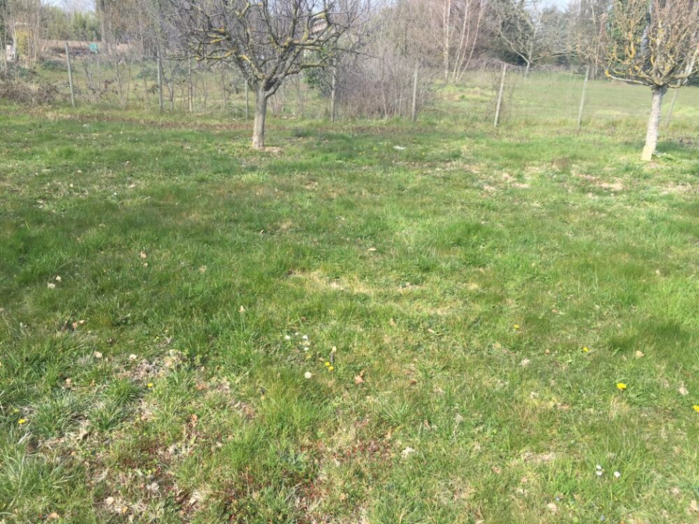 vente Terrain - 725 m² Treffort-Cuisiat (01370)
