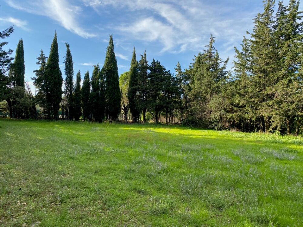 vente Terrain - 802 m² Grillon (84600)
