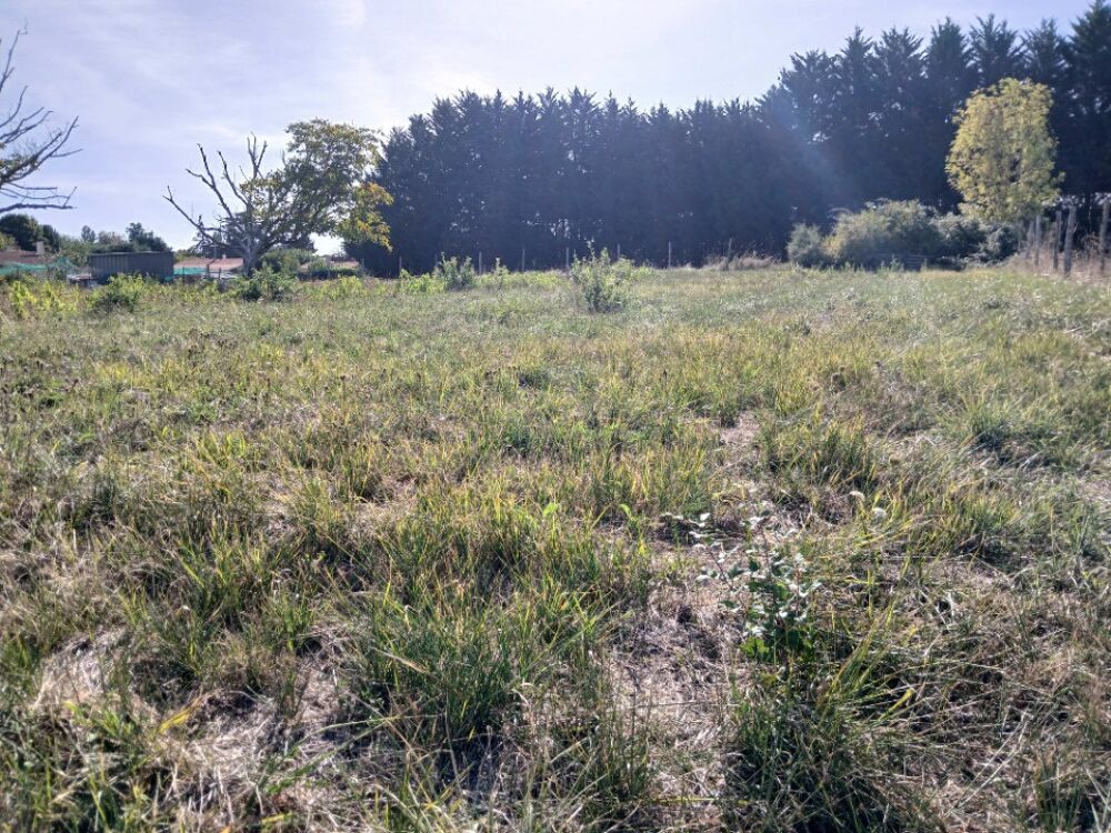 vente Terrain - 1505 m² Tocane-Saint-Apre (24350)