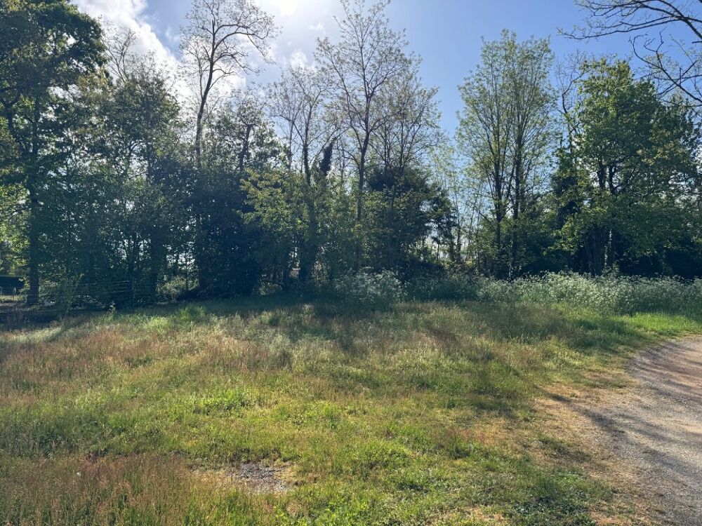 vente Terrain - 540 m² Lesparre-Médoc (33340)