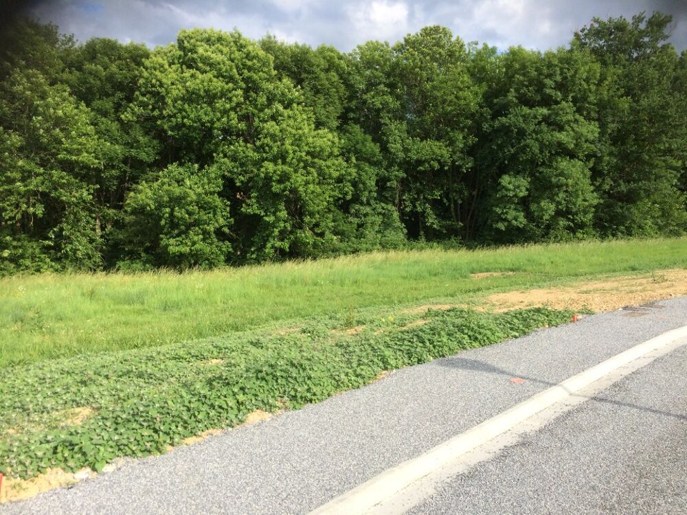 vente Terrain - 840 m² Mazamet (81200)