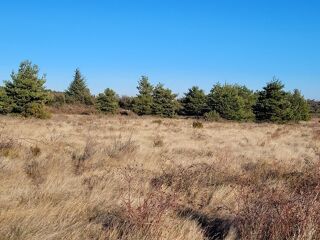  Maison � vendre 7 pi�ces 145 m�