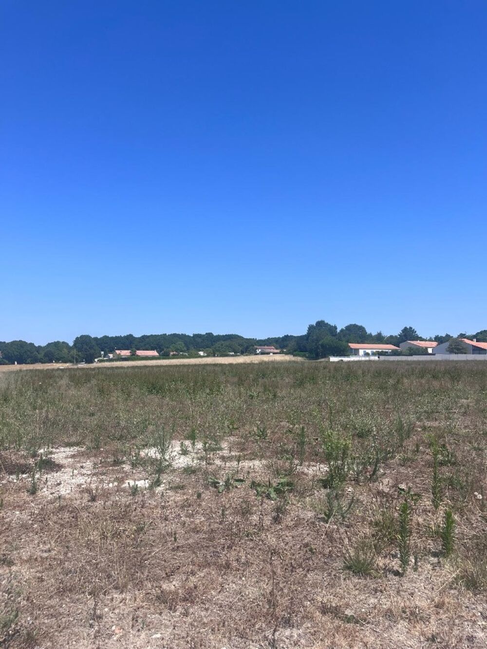vente Terrain - 445 m² Étaules (17750)