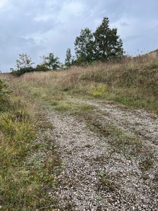  Terrain 768 m� Castelnau-de-montmiral