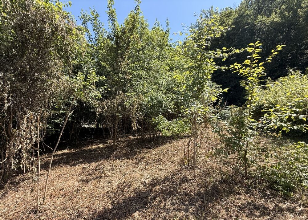 vente Maison - 5 pièce(s) - 82 m² Sorèze (81540)