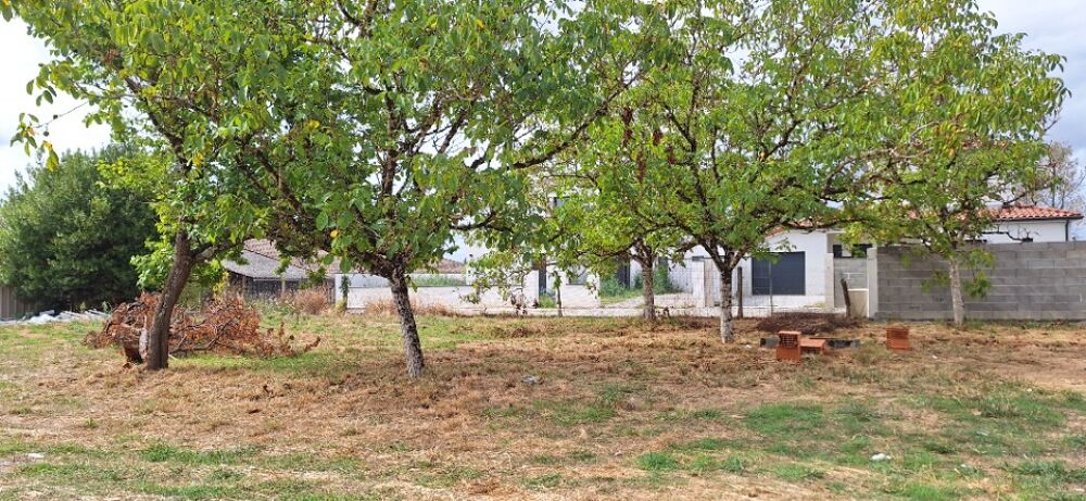 vente Maison - 4 pièce(s) - 126 m² Plaisance-du-Touch (31830)
