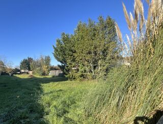  Maison 4 pi�ces 100 m� Pessac