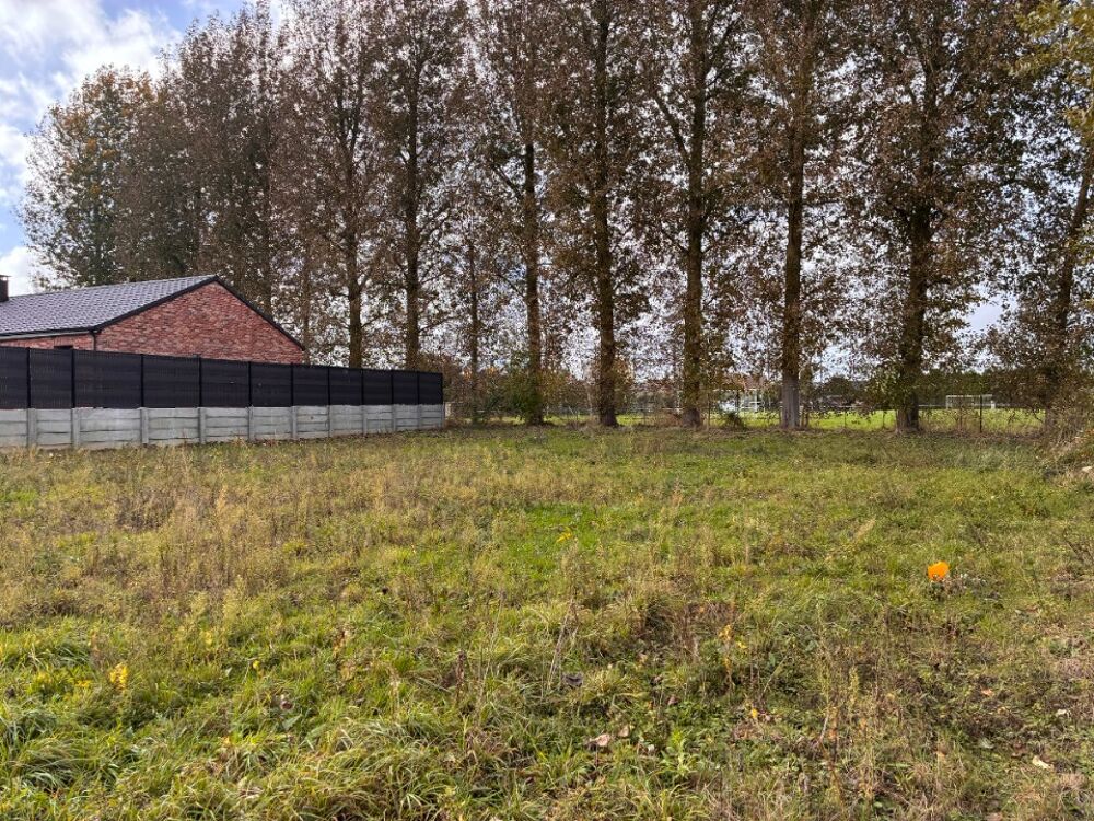 vente Terrain - 584 m² Curgies (59990)