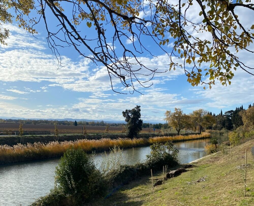 vente Terrain - 613 m� Roubia (11200)