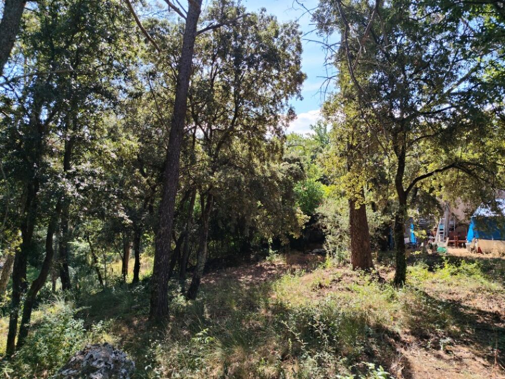 vente Terrain - 1880 m² Lorgues (83510)