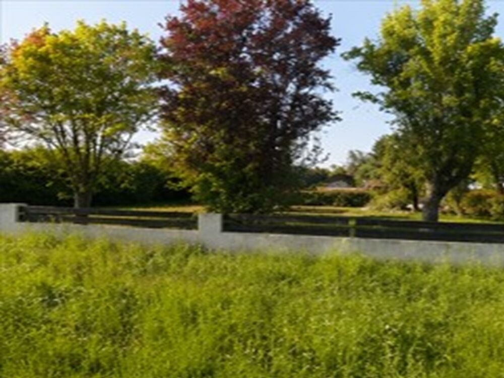 vente Terrain - 416 m² Périssac (33240)