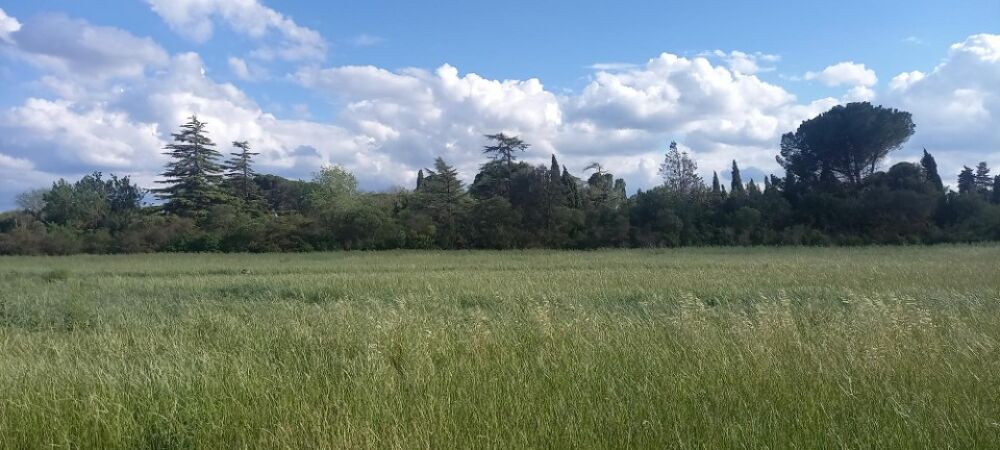 vente Terrain - 494 m� Cruscades (11200)