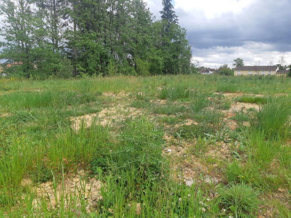 vente Terrain - 570 m² Villariès (31380)