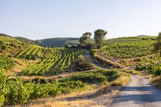  Terrain  vendre 608 m