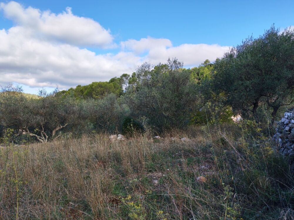Carnoules (Var) Terrain à bâtir de 1005 m² avec projet d....