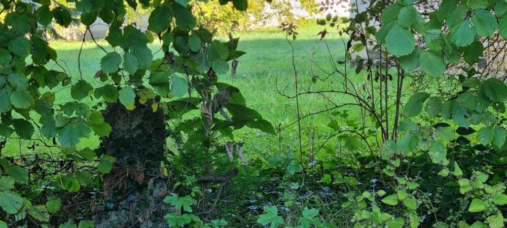 vente Maison - 4 pièce(s) - 80 m² Parcieux (01600)
