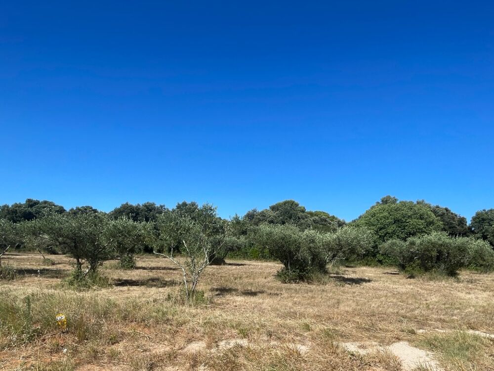 vente Terrain - 1700 m² Saint-Siffret (30700)