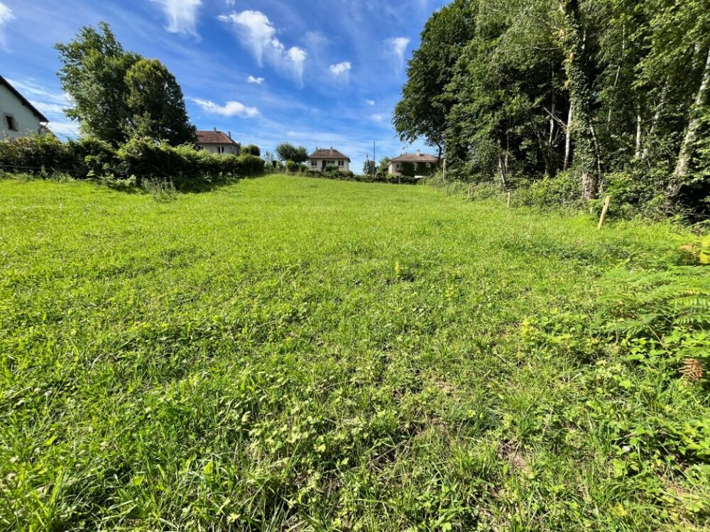 vente Terrain - 1444 m² Roannes-Saint-Mary (15220)
