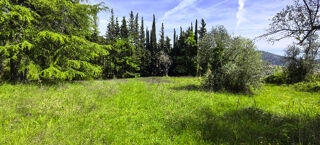  Terrain � vendre 1000 m�