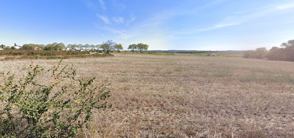 vente Terrain - 370 m² Alignan-du-Vent (34290)