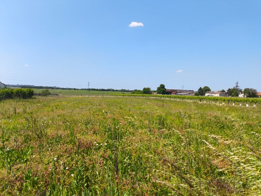 MAISON 4 PIÈCES NEUVE Nous vous présentons cette mai....