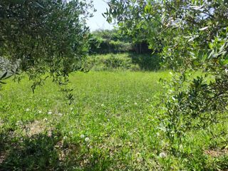  Terrain � vendre 490 m�