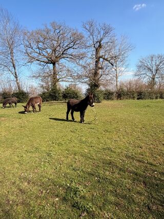  Terrain � vendre 1000 m�