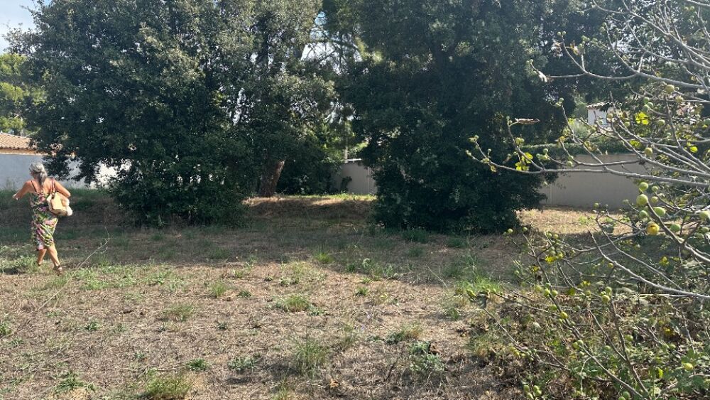 vente Terrain - 1052 m² Six-Fours-les-Plages (83140)