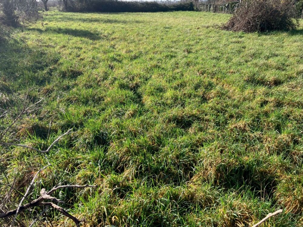 vente Maison - 3 pi�ce(s) - 60 m� Chassors (16200)