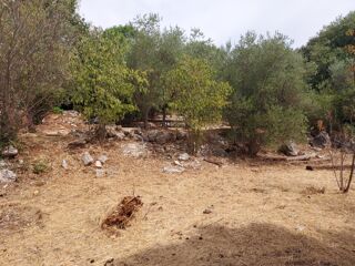  Terrain � vendre 970 m�