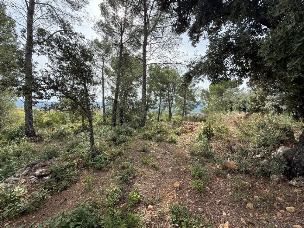 Maison + Terrain à Solliès-Toucas - 404 000 &euro; - O7 ....