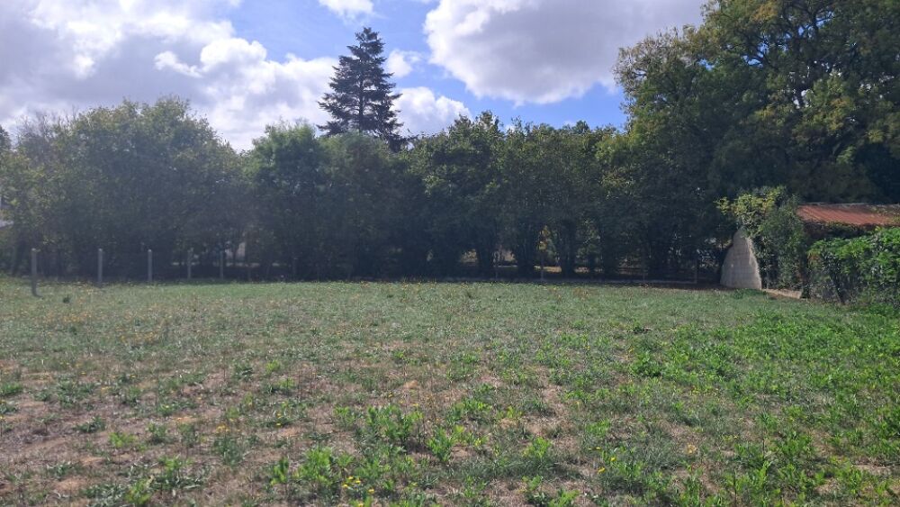 vente Maison - 4 pièce(s) - 84 m² Jonzac (17500)