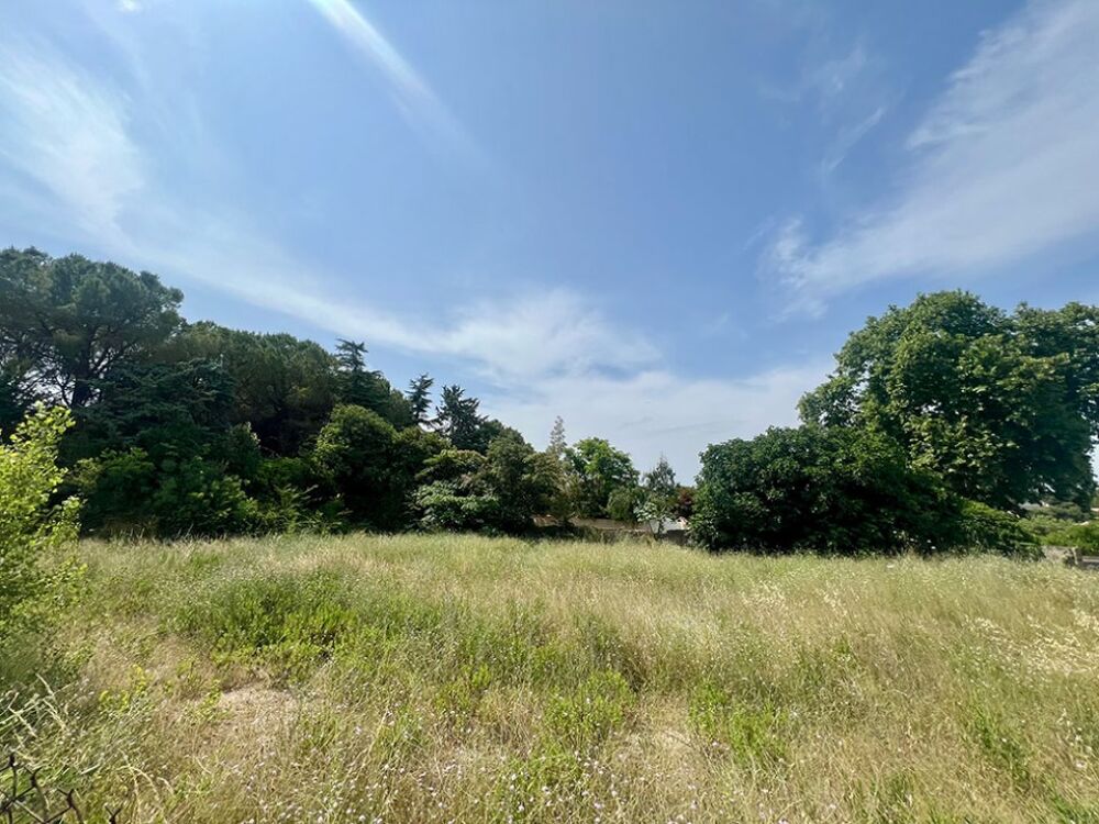 vente Terrain - 320 m² Saint-Geniès-des-Mourgues (34160)