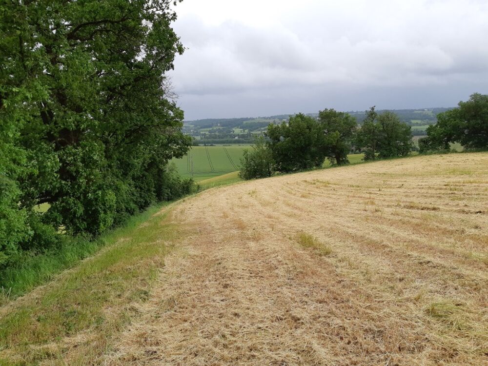 vente Terrain - 656 m² Montjoire (31380)