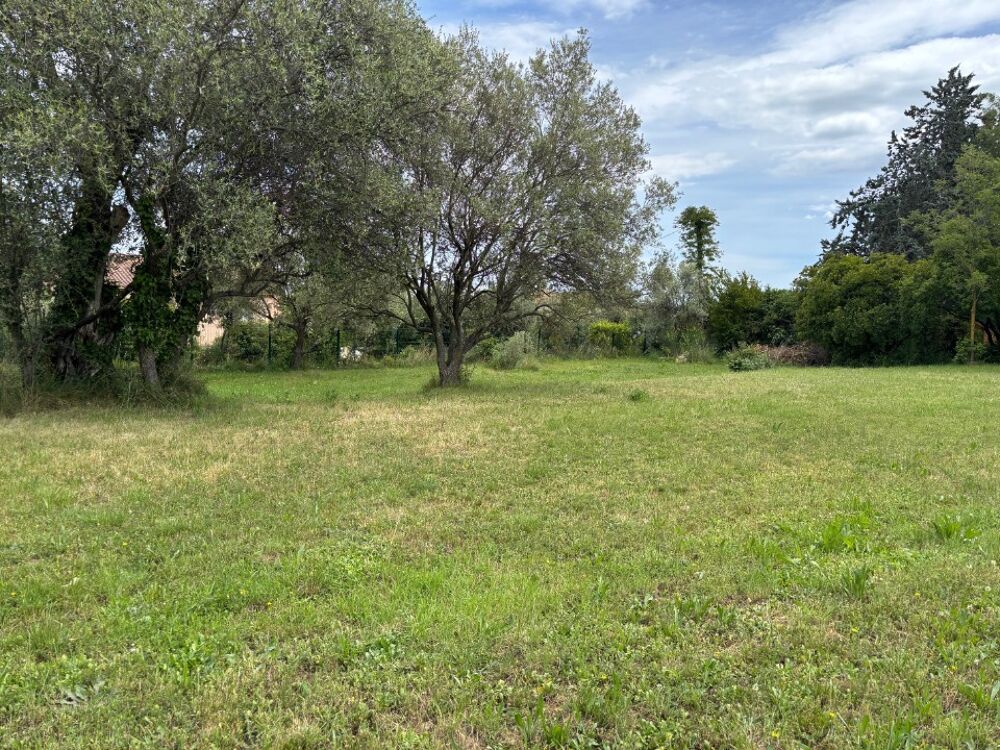 vente Terrain - 1237 m² Montauroux (83440)
