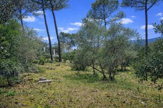  Terrain à vendre 1001 m²