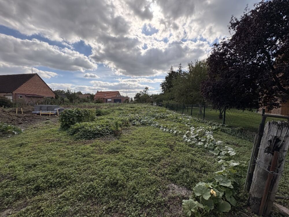 vente Maison - 4 pièce(s) - 92 m² Mons-en-Pévèle (59246)