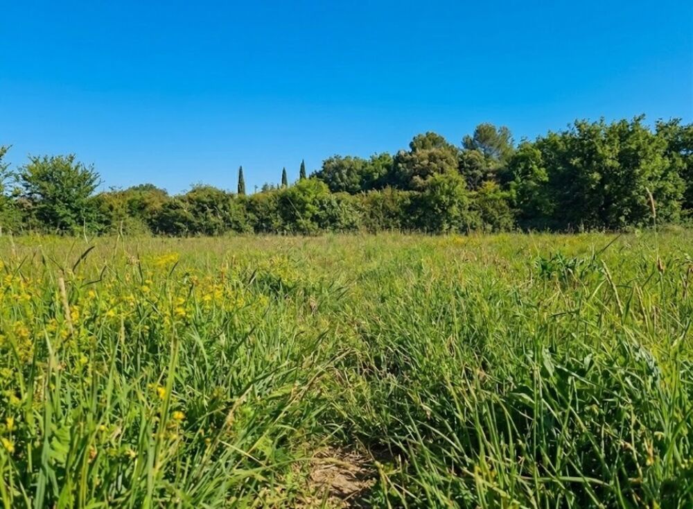 vente Terrain - 557 m² Allex (26400)