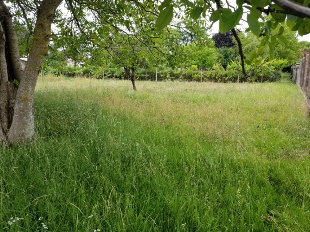 vente Terrain - 1300 m� Barbezieux-Saint-Hilaire (16300)