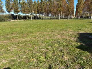  Terrain  vendre 1000 m