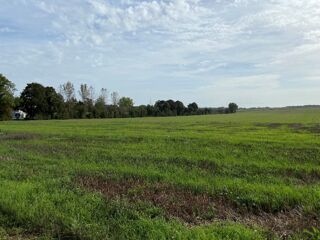  Maison 8 pi�ces 115 m� Agnez-l�s-duisans