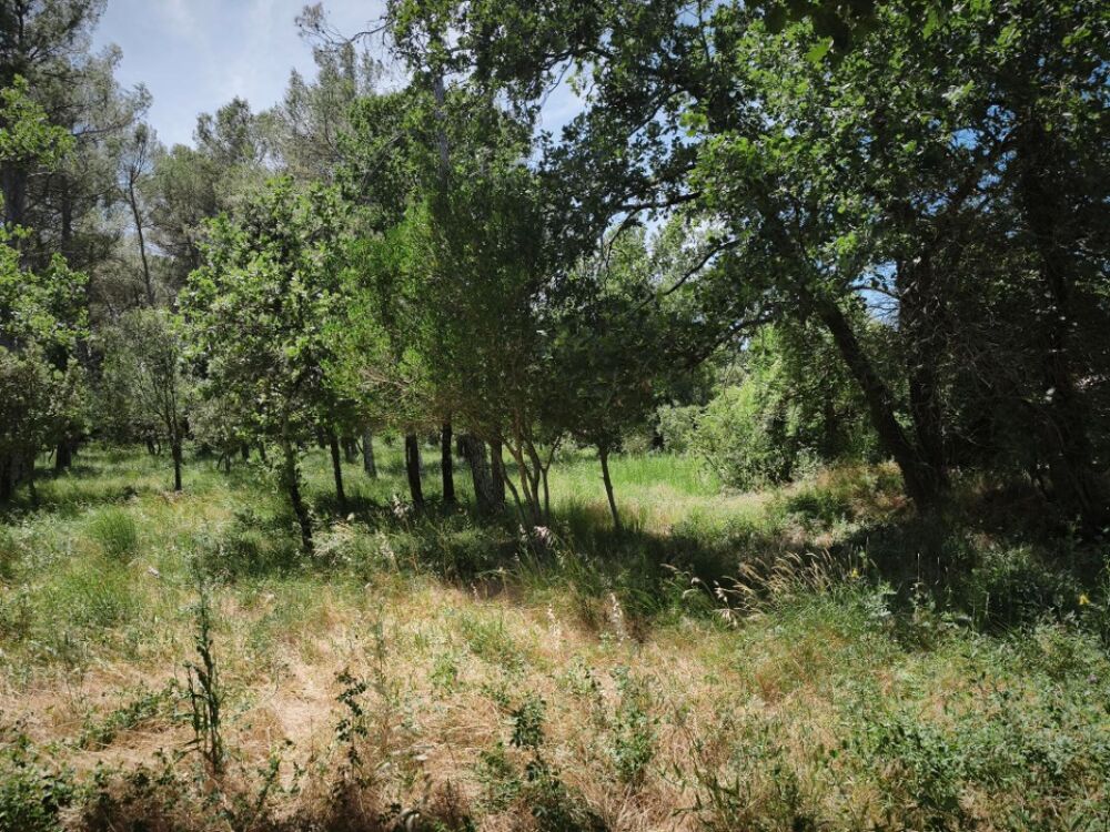 vente Terrain - 655 m² Garéoult (83136)