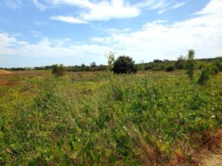  Terrain � vendre 386 m�